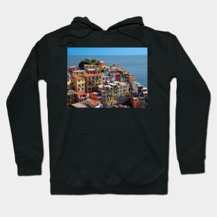 View on the cliff town of Manarola, one of the colorful Cinque Terre on the Italian west coast Hoodie